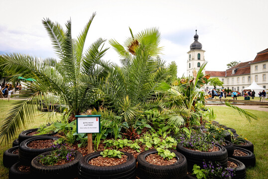 Der Schaugarten „Vom Regenwald in den Garten“: Exotische Pflanzen und recycelte Materialien nehmen das Jubiläumsthema „Zukunft Garten“ auf.