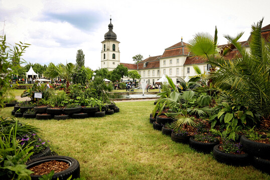 Blick auf das Frstliche Gartenfest 2025 mit dem temporren Schaugarten Vom Regenwald in den Garten, geplant vonVivien Keil und Jan Schilling