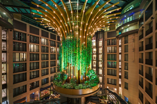 Nachts wird die Baumskulptur eindrucksvoll beleuchtet.