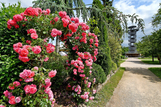 Sommer in Bad Zwischenahn.