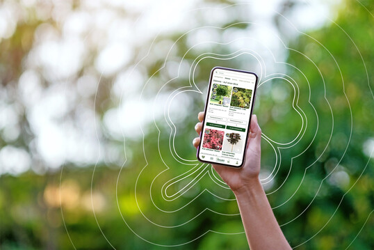 Auch mobile Shops setzt Harries Plantdesign um.