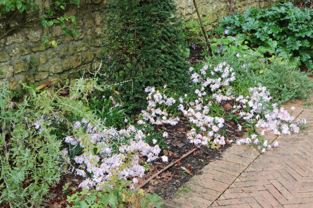 Der Garten bietet eine vertrumte Atmosphre.