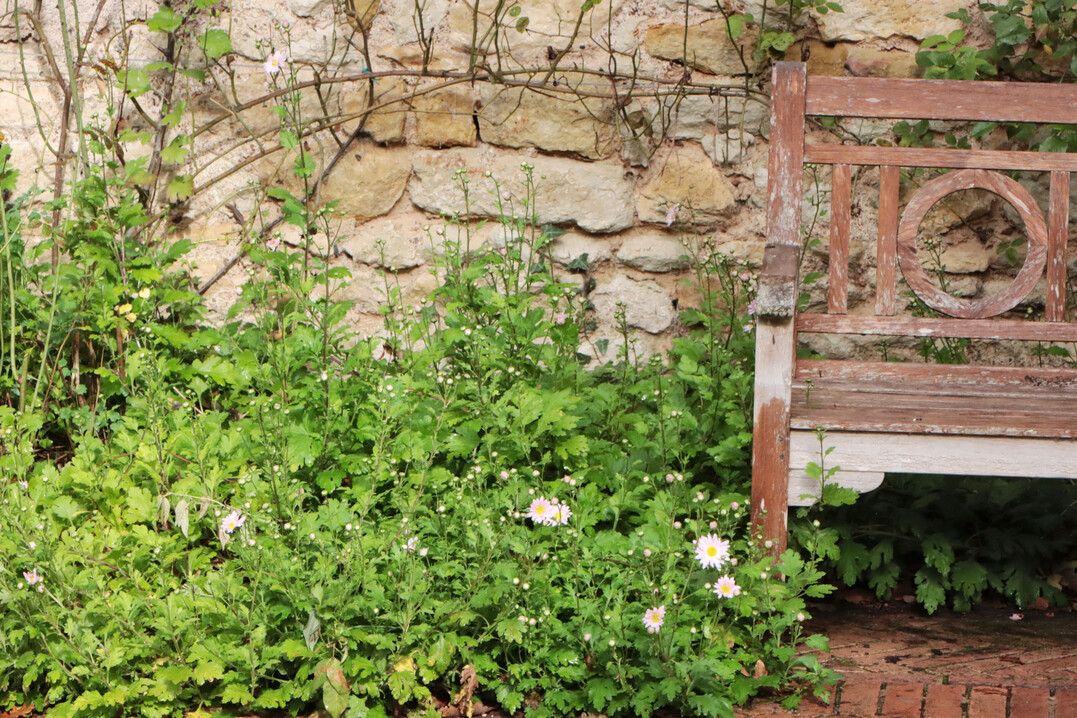 Der im Vergleich kleine Garten strahlt Ruhe aus.