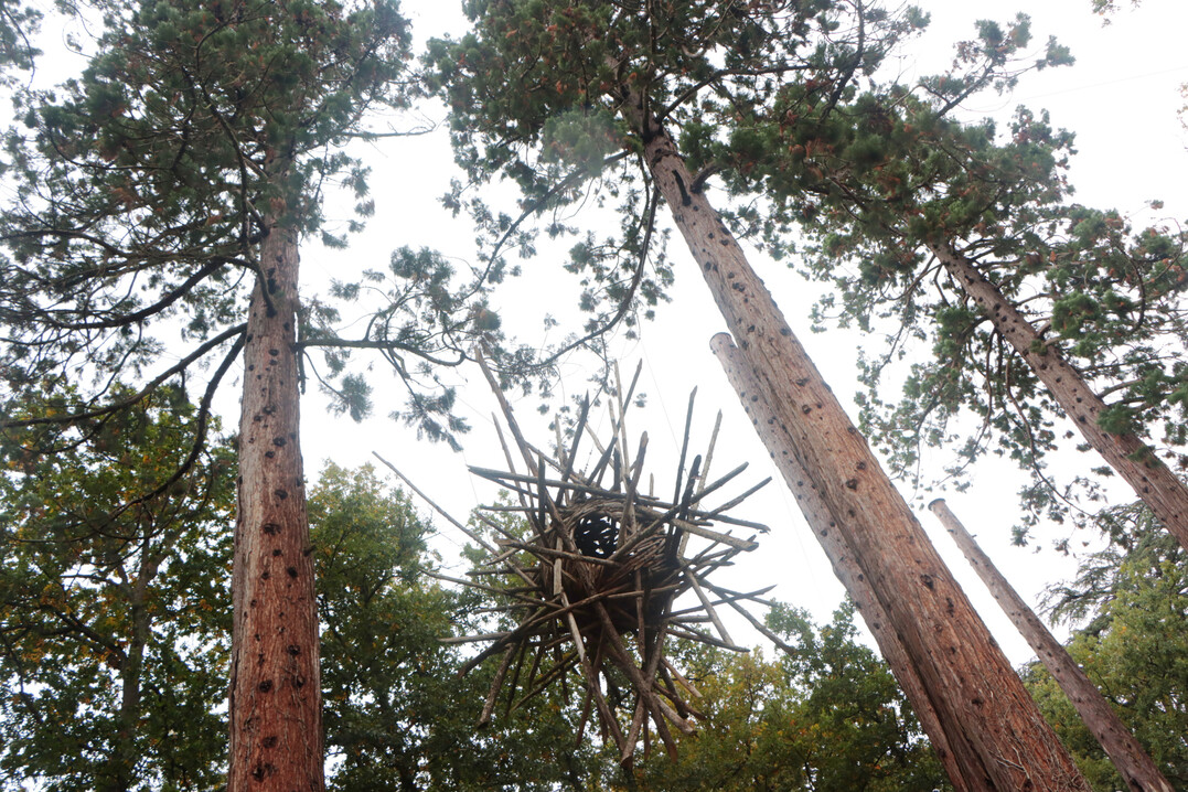 Kunstwerke machen den Wald am Schloss auch zu einem kulturellen Erlebnis.