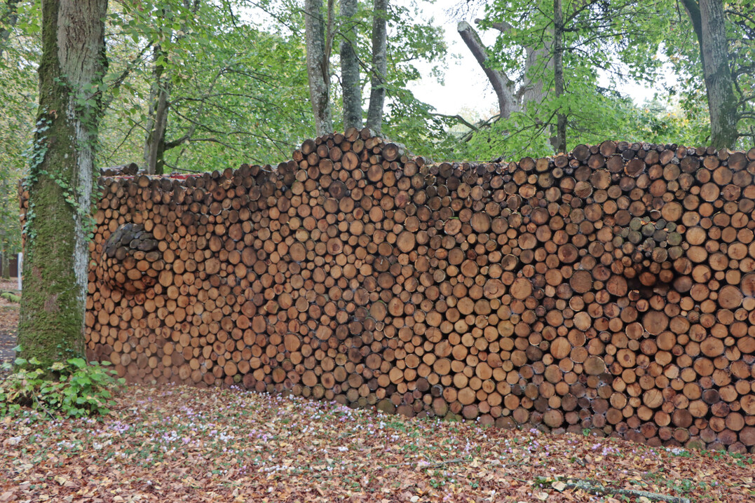 Dieser Holzstapel bildet die knstlerische Rckwand eines Infopavillons im Wald.