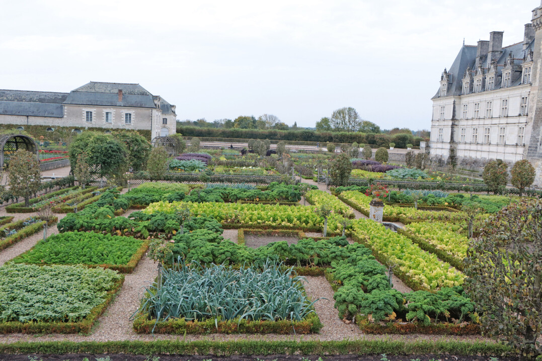 Die Grten des  Chteau de Villandry sind ein herausragendes Beispiel franzsischer Renaissancegartenkunst. 