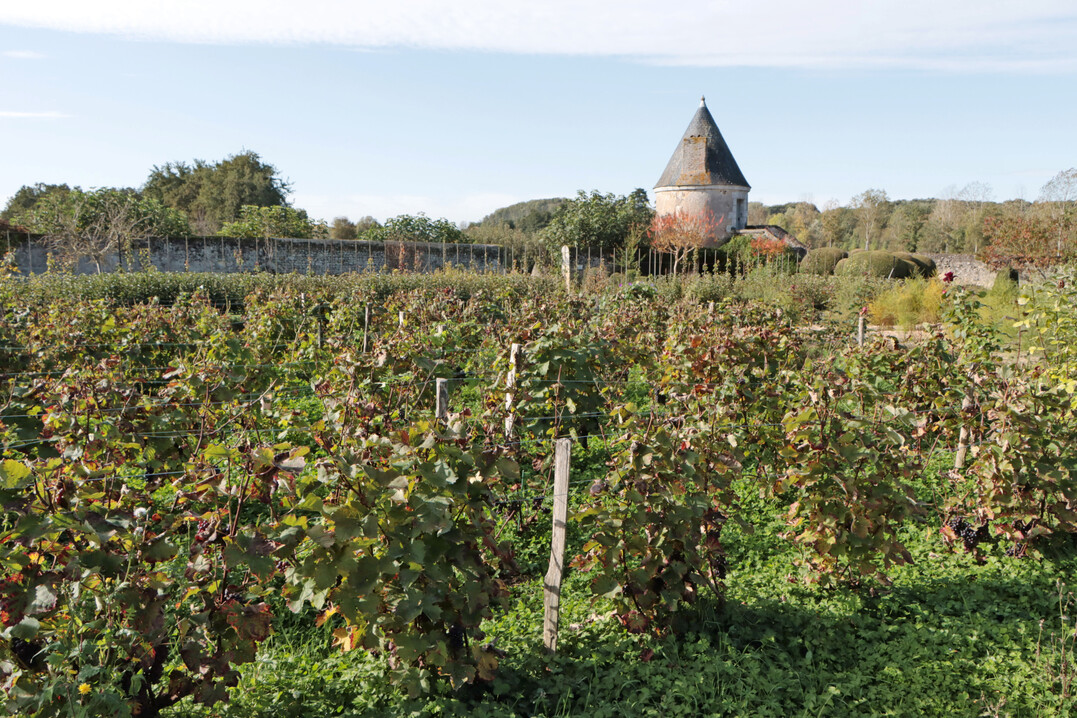 Die geschtzte und warme Lage im Weinbauklima begnstigt den Garten.