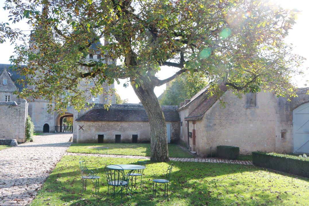 Idyllischer Herbstaspekt im Schlosshof.