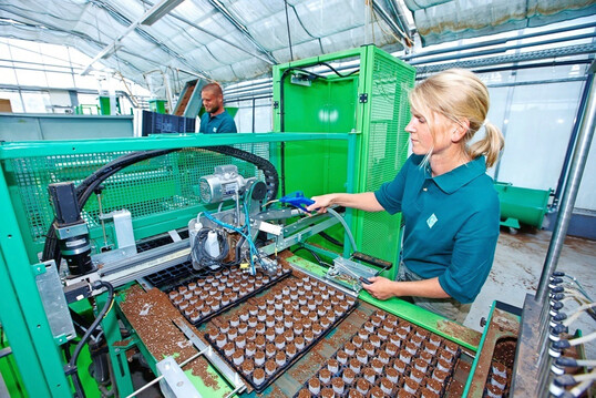 Mit Technik und Fingerspitzengefhl: Die Arbeit an der Topfmaschine zeigt, wie vielfltig und modern der Gartenbau heute ist  ein Berufsfeld mit Zukunft.