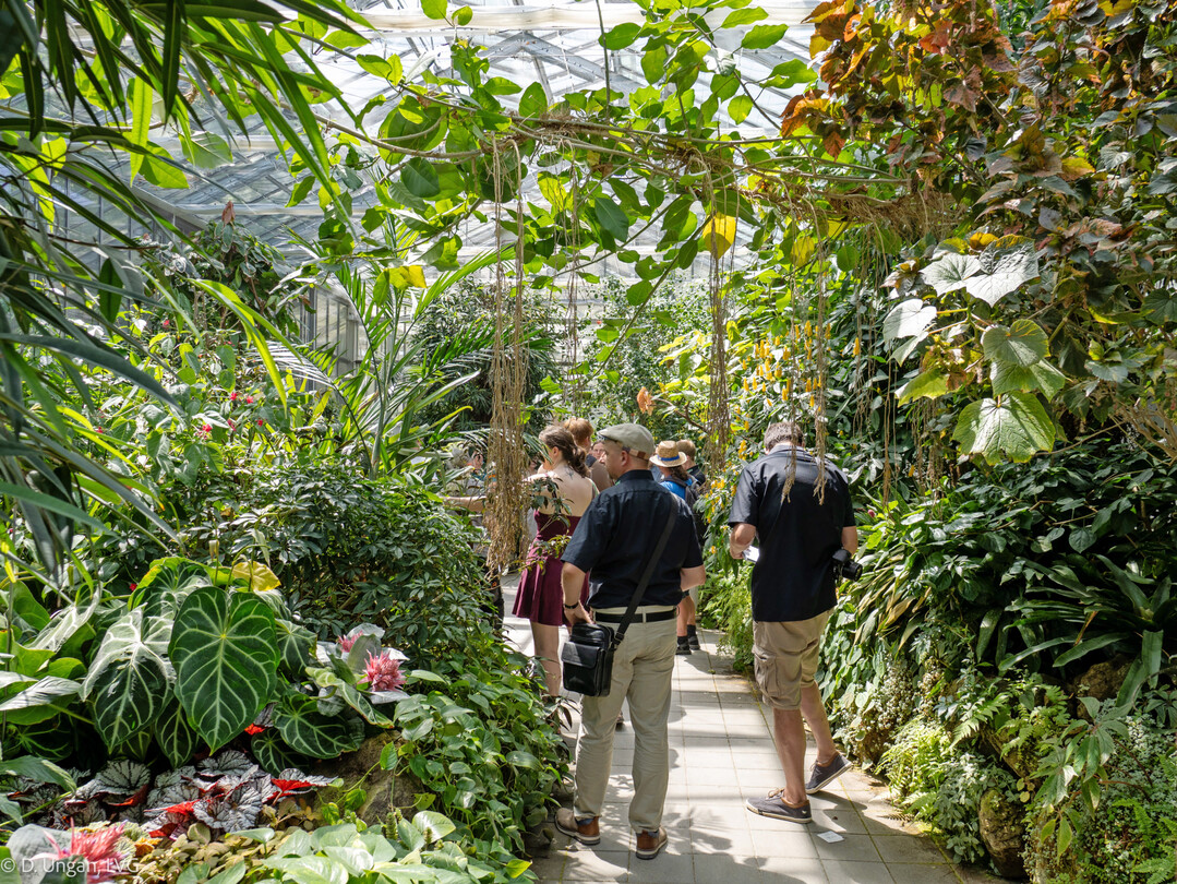 Neben den Anzucht- und Produktionsgewchshusern besichtigten die Teilnehmer auch die durch die enorme Artenvielfalt eindrucksvollen Schauhuser des Frankfurter Palmengartens.