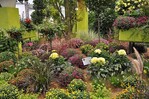 Den Ehrenpreis des Landesverbandes Gartenbau Westfalen-Lippe e.V. für ein qualitativ
überragendes Topfchrysanthemensortiment aus dem Gewächshaus und dem Freiland erhielt
die Gärtnerei May Garden aus Kassel.