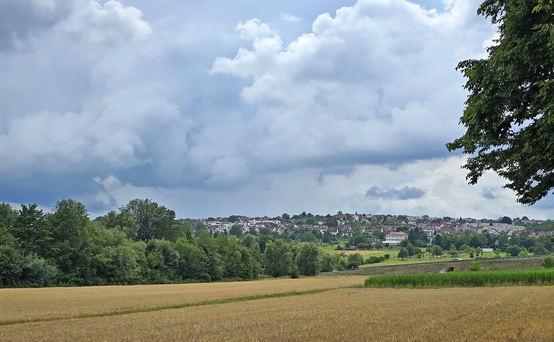 Der zweite Sommermonat des Jahres prsentierte sich sehr abwechslungsreich.