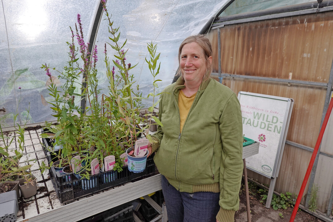 Jessica Zahn produziert Wildstauden mitten in der Stadt Hannover.