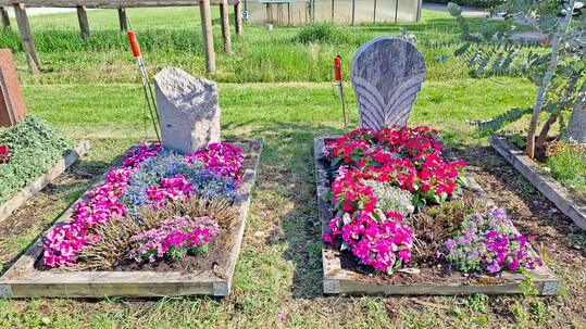 In Hohenheim werden auch Substrate für den Friedhof geprüft.
