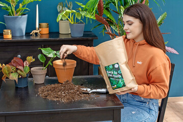 Hier stellte Ellen Keller Erde fr Zimmerpflanzen vor.