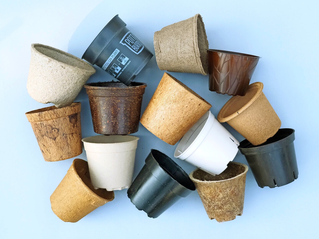 Die Vielfalt an mitpflanzbaren Tpfen aus unterschiedlichen Materialien hat in den letzten Jahren deutlich zugenommen.