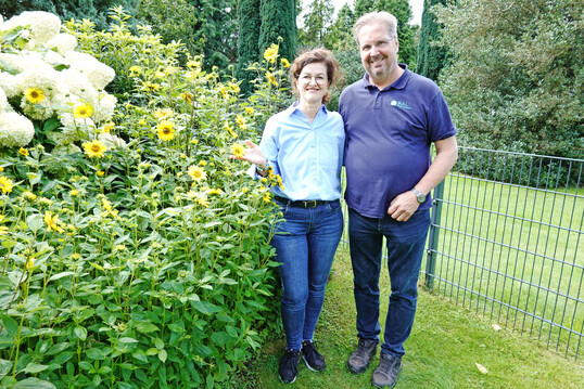 Ulrike und Hartwig Bull mit bereits vor acht Jahren ins Beet gepflanzten SunCatcher-Helianthus