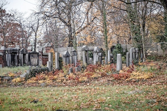 Die Fachtagung der Gartenakademie Baden-Wrttemberg befasst sich mit den aktuellen Entwicklungen im Friedhofswesen.