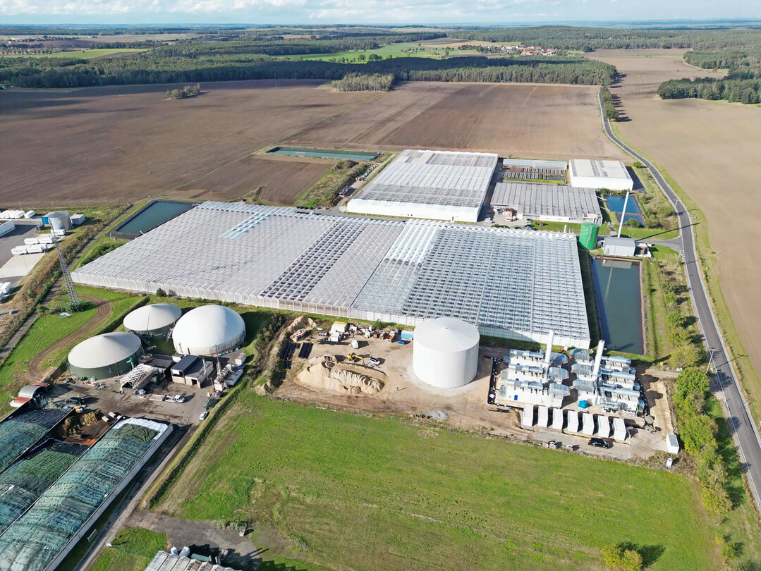 Vorne rechts im Bild ist das neue Speicherkraftwerk am Betrieb von Elsner pac in Thiendorf zu sehen. Ein Teil des benötigten Biogases wird direkt nebenan erzeugt.