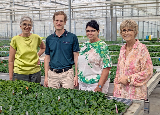 Die Grne EU-Abgeordnete Jutta Paulus im Gartenbaubetrieb Kientzler mit ZVG-Prsidentin Eva Khler-Theuerkauf und Landesverbandsprsidentin Karoline Heiser.