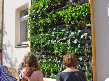 Die Living Wall Systeme an der Fassade des Alten Forstamtes in Erlangen sind nicht nur ein echter Hingucker: Neben Anbauflche fr Nahrungspflanzen wirkt sich die Begrnung auch positiv auf das Klima von Gebude und Umgebung aus.