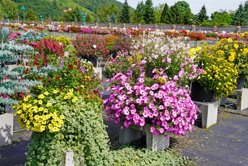 Das Sortenprüffeld in Dresden-Pillnitz.