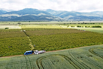 Das Rosental (Rozova Dolina) liegt etwa zweihundert Kilometer westlich der Hauptstadt Sofia.
