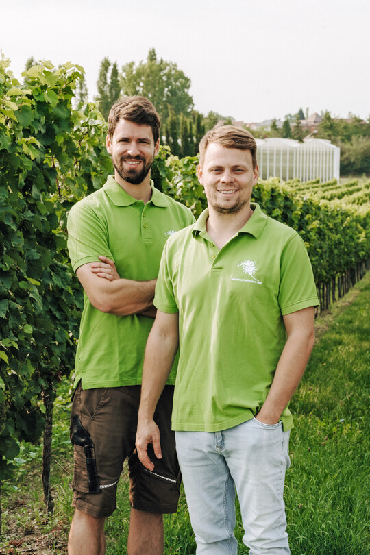 Lukas (links) und Philipp Weilbrenner im Weinberg, im Hintergrund die Grtnerei der Familie.