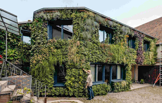 Einfamilienhaus, Karlsruhe, BuGG-Mitglied: Helix Pflanzensysteme GmbH