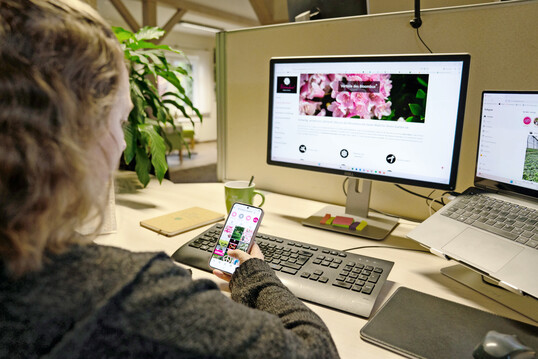 Blogger vermitteln Anwendungsbeispiele und teilen pers�nliche Erfahrungen aus ihrem Gartenalltag. 