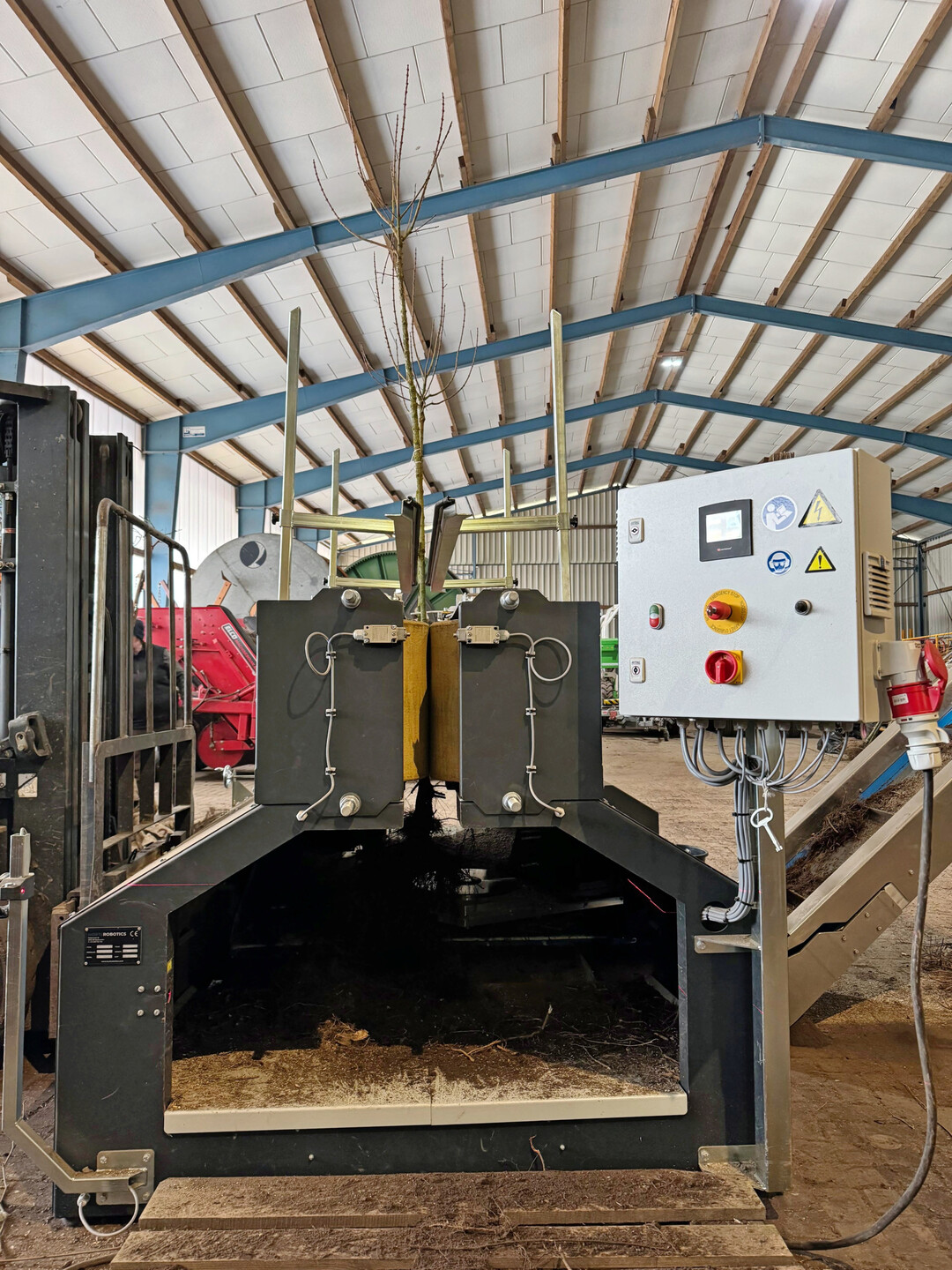 Der Wurzelschneider regt das Wachstum neuer Wurzeln an.