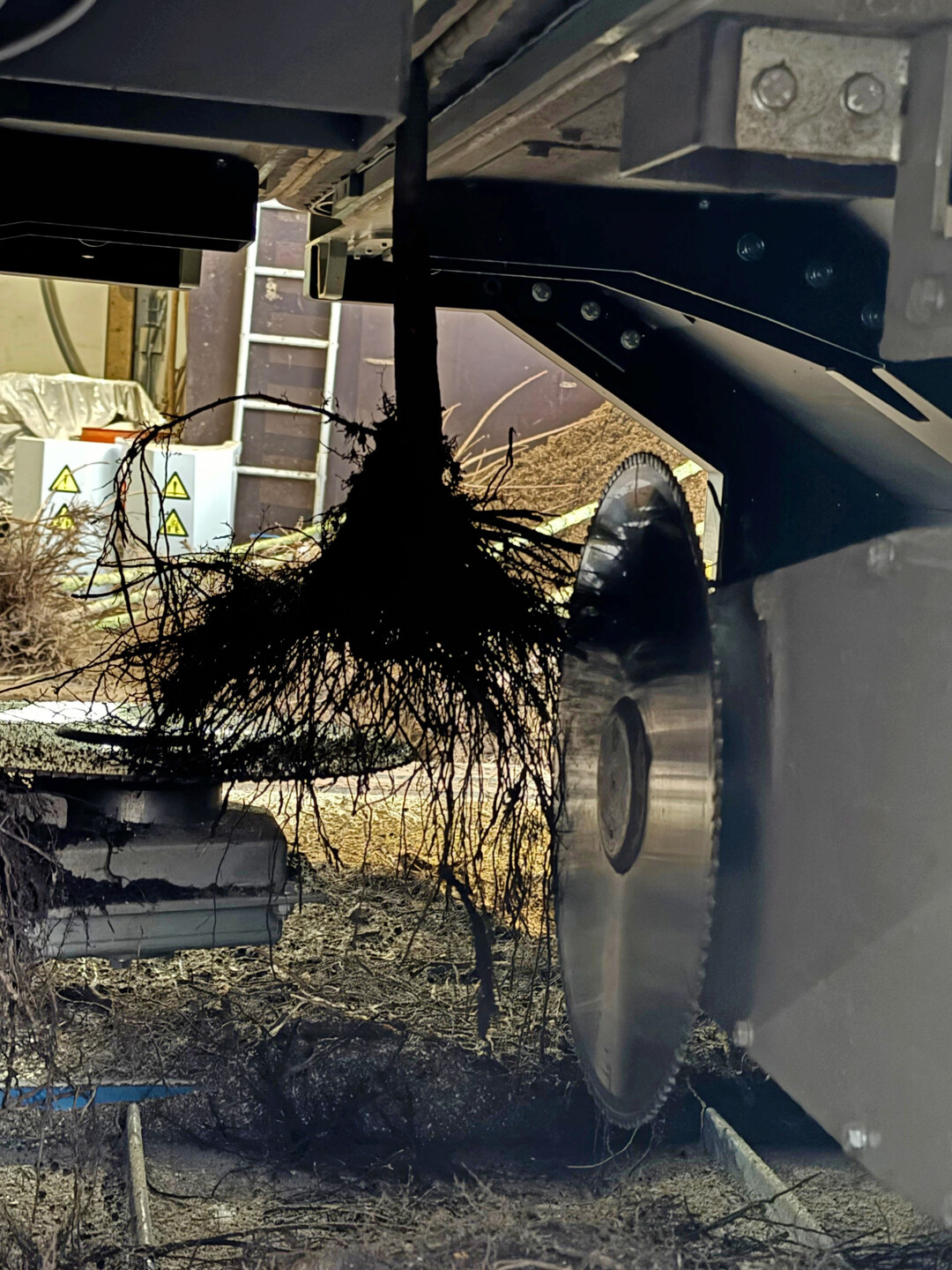 Der Root Trimmer schneidet gezielt die Wurzeln von Gehölzen.