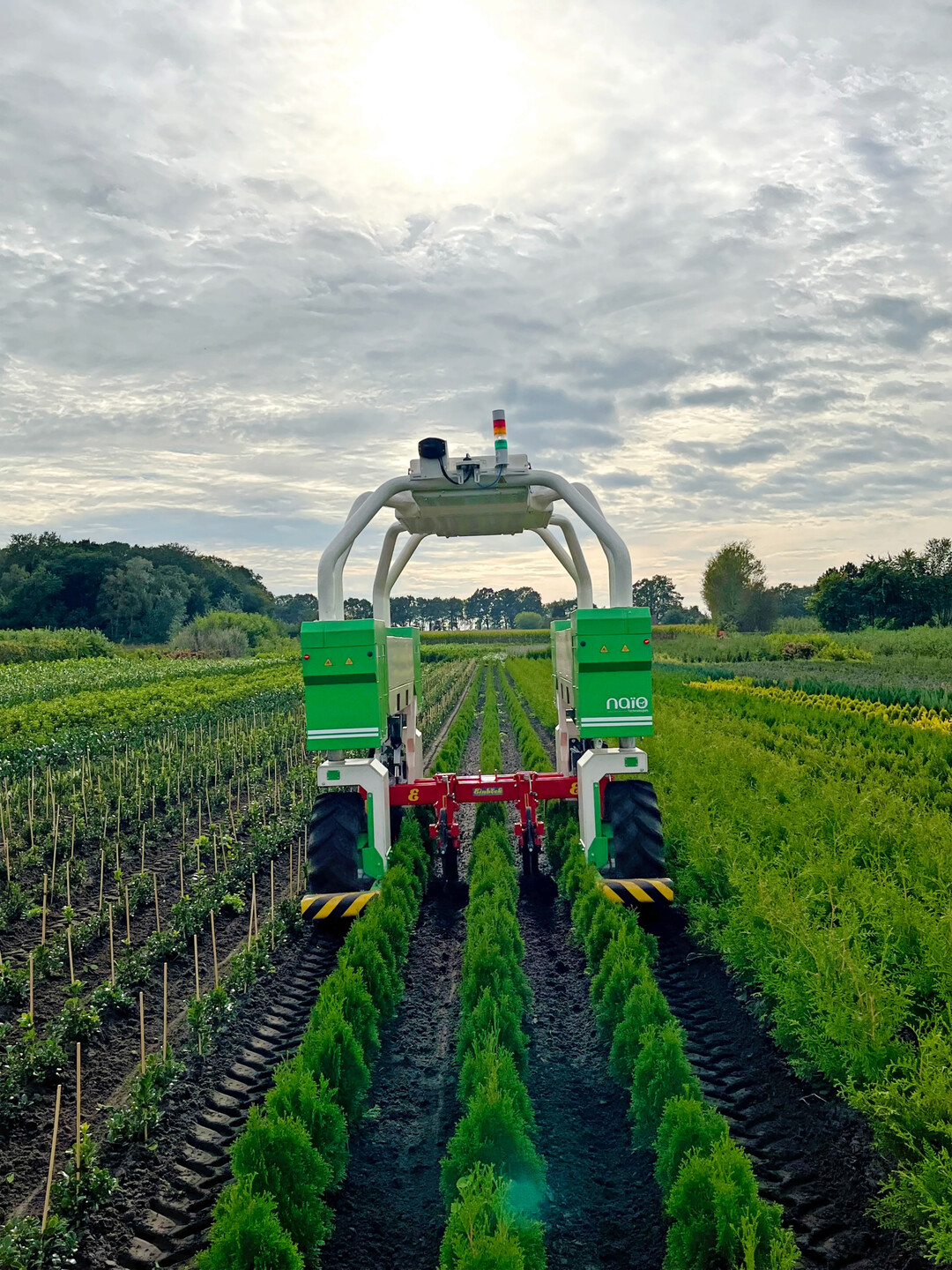 Modernste Technik für optimiertes Arbeiten: Der TED-Roboter.