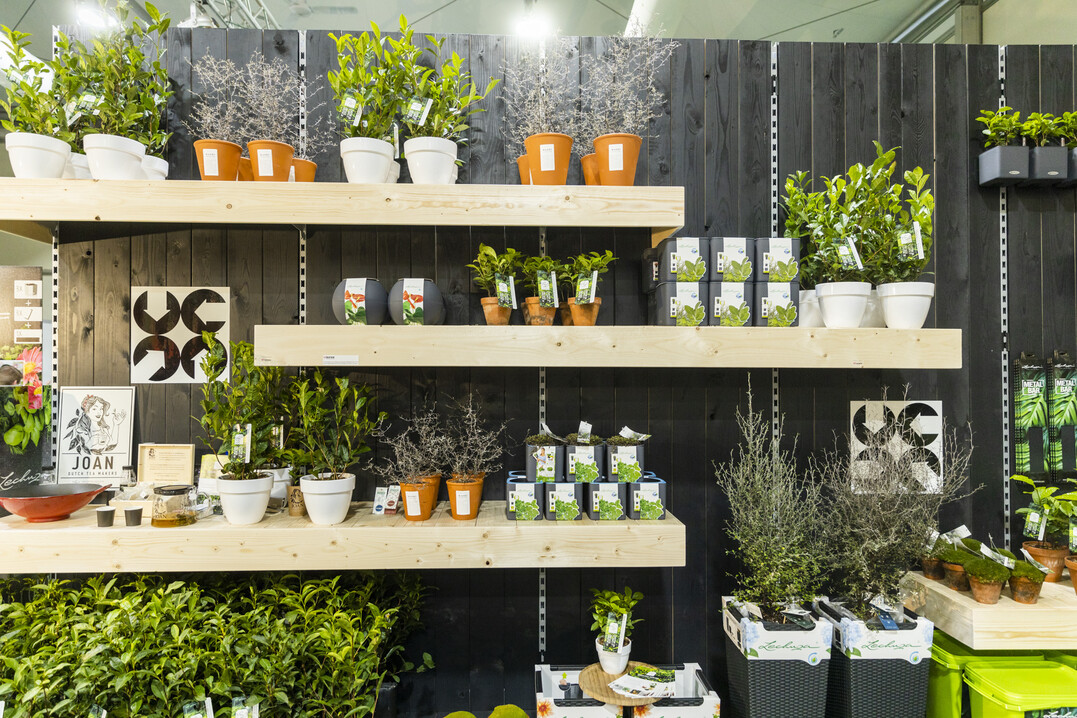  Impression von der IPM 2019
