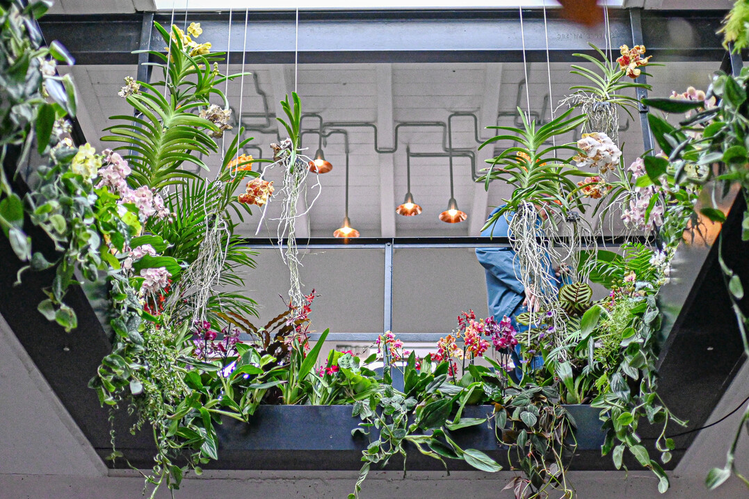 Die Schönheit der exotischen Zimmerpflanzen passte sehr gut zu den architektonischen Formen der modernen Lichtkörper unter dem Thema „In Full Bloom“.