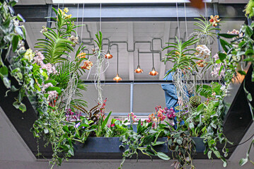 Die Schnheit der exotischen Zimmerpflanzen passte sehr gut zu den architektonischen Formen der modernen Lichtkrper unter dem Thema In Full Bloom.