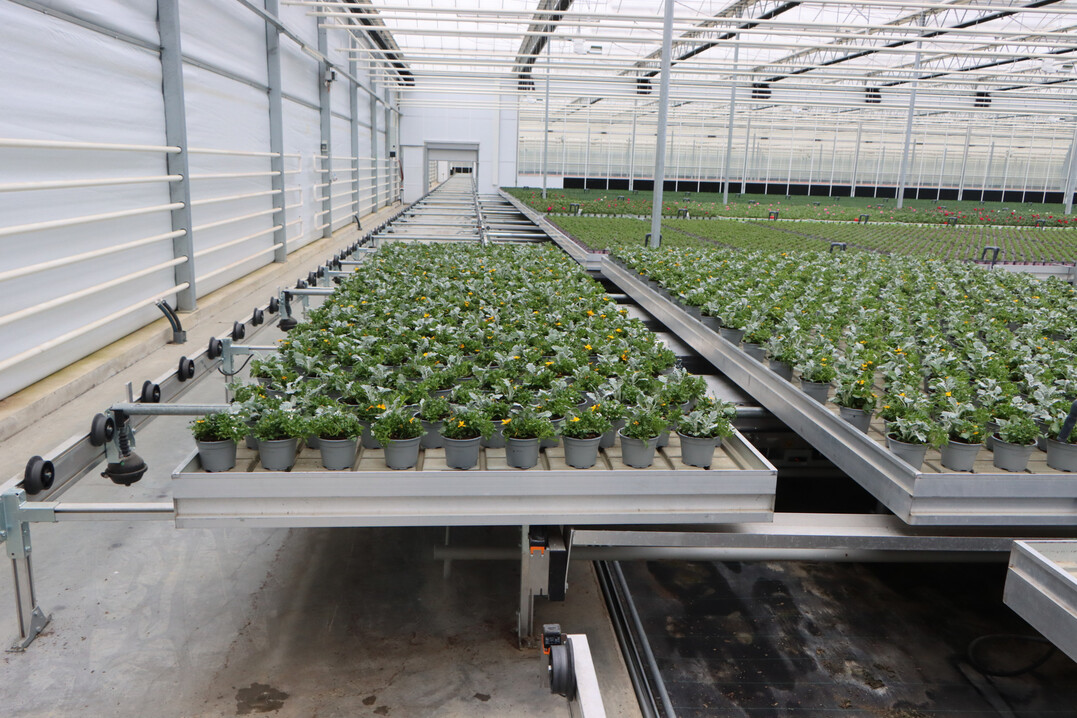 Neu: Topfpflanzen-Handling-Systeme sind knftig mit bis zu 20 Prozent frderfhig.