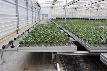 Neu: Topfpflanzen-Handling-Systeme sind künftig mit bis zu 20 Prozent förderfähig.