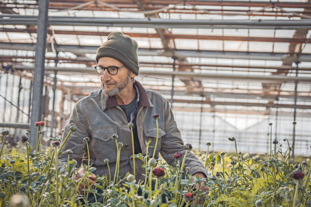 Sonia Grimm und Vater Markus Schm�lzle haben von der Monokultur Rosen auf ein buntes Bio-Schnittblumenprogramm umgestellt.