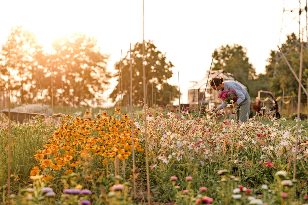 Idyllisch finden es auch viele Kunden �Bei den Blumen�.