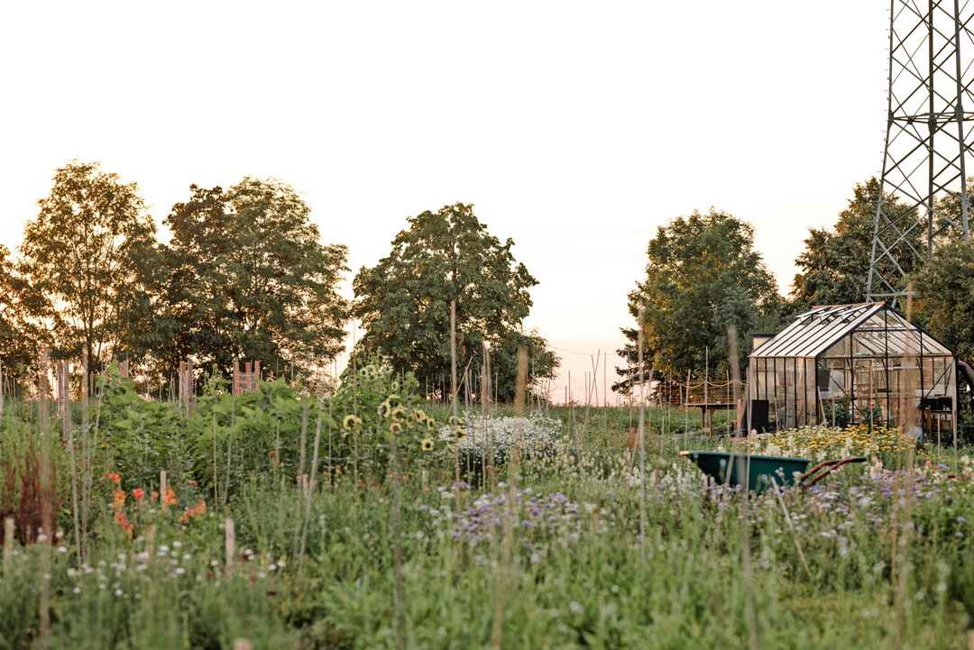 Ein kleines Anzuchtgew�chshaus �Bei den Blumen�.
