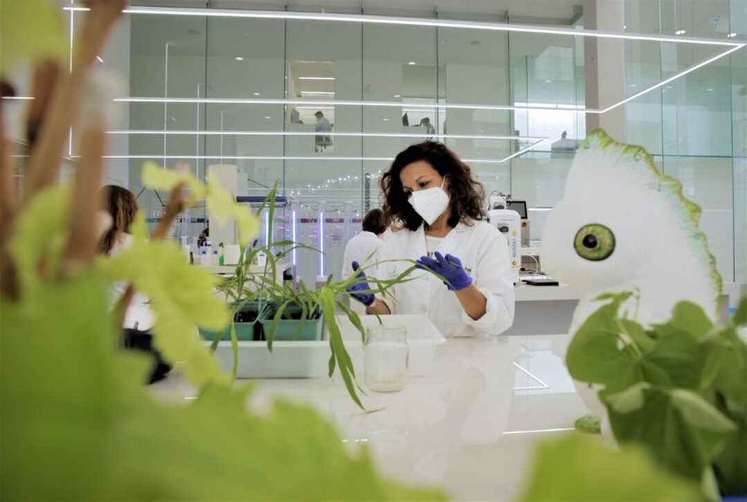 Als weltweit führendes Unternehmen in der Erforschung und Entwicklung von Biologika wird Kimitec mit seinem MAAVi Innovation Center seine Expertise und seine bahnbrechende Technologie zur Verfügung stellen.