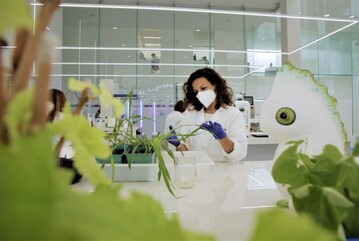 Als weltweit fhrendes Unternehmen in der Erforschung und Entwicklung von Biologika wird Kimitec mit seinem MAAVi Innovation Center seine Expertise und seine bahnbrechende Technologie zur Verfgung stellen.