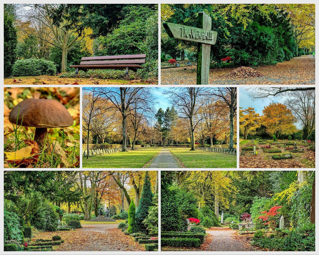 Der Friedhof hat große Bedeutung für die Gesellschaft, die Gemeinschaft, die Trauer, die Erinnerung, das Individuum, das Stadtklima, die Biodiversität – und sicherlich noch manches mehr.