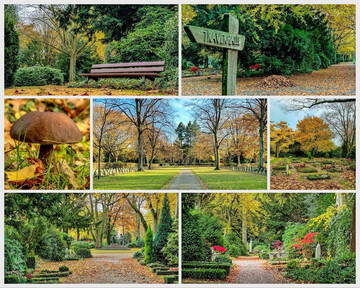 Der Friedhof hat große Bedeutung für die Gesellschaft, die Gemeinschaft, die Trauer, die Erinnerung, das Individuum, das Stadtklima, die Biodiversität – und sicherlich noch manches mehr.