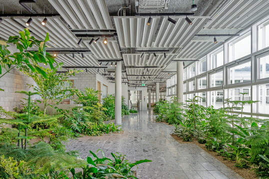 Mit „The Green Lane“ wurde bei Holcim in der Schweiz eine Miniaturlandschaft im Gebäudeinneren geschaffen.