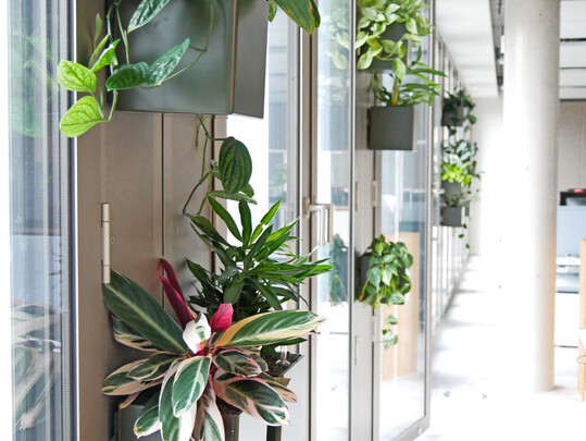 Beim Immobilienkonzern Hines realisierte P2 Objekt Grün mit dem Projekt „Die hängenden Gärten“ eine platzsparende und pflegeleichte Begrünungslösung.