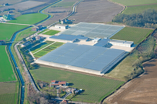Am Standort Gaiarine wurden in den letzten Jahren 7 ha Gewächshäuser neu gebaut.