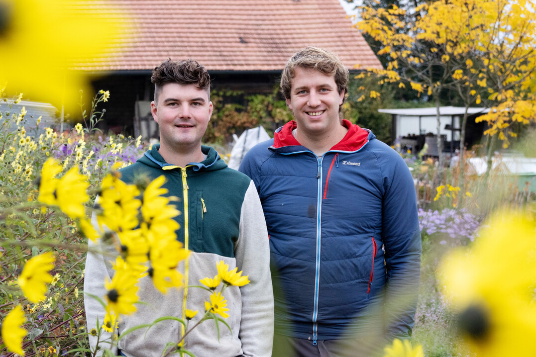 Dario W�est (links) und Luca Jost im neuen Mutterpflanzengarten.