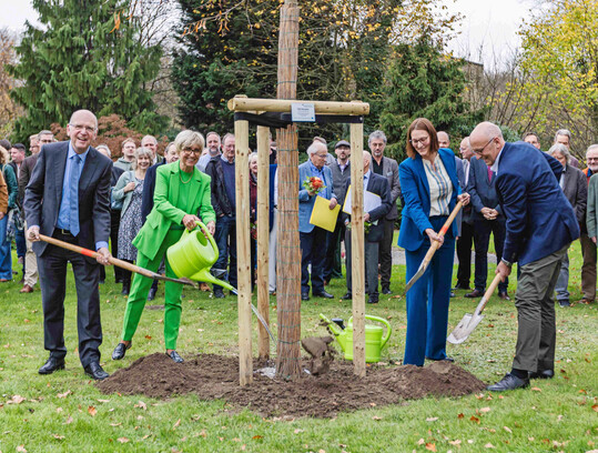 Von links: Karl Werring (Prsident der Landwirtschaftskammer Nordrhein-Westfalen), Eva Khler-Theuerkauf (Prsidentin des Zentralverbands Gartenbau), Nicole Hrnemann (Schulleiterin der Fachschule fr Gartenbau Essen) und Josef Mennigmann (Prsident des Verbandes Garten-, Landschafts- und Sportplatzbau NRW) verpflanzten feierlich eine Chinesische Linde (Tilia henryana) zum 75-jhrigen Bestehen der Fachschule fr Gartenbau Essen.